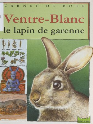 cover image of Ventre-Blanc, le lapin de garenne